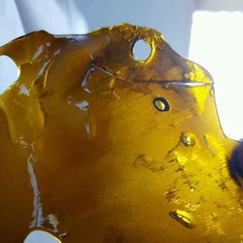 420 CANDY SHATTER CO2 EXTRACTED
