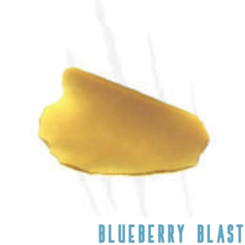Kushie x Savage - Blueberry Blast Shatter