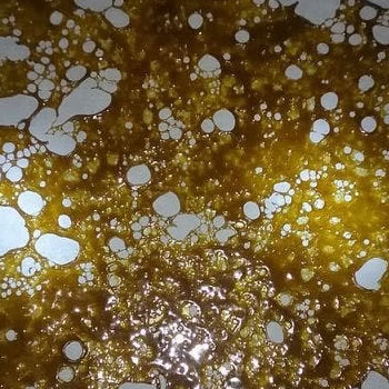 CHERRY PIE SHATTER CO2 EXTRACTED