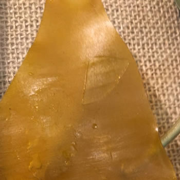 GDP SHATTER CO2 EXTRACTED