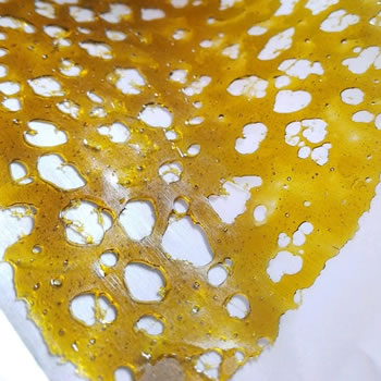 GG4 X CLEMENTINE SHATTER CO2 EXTRACTED