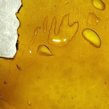 GIRL SCOUT COOKIES SHATTER CO2 EXTRACTED