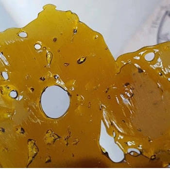 LEMON HEAD SHATTER CO2 EXTRACTED