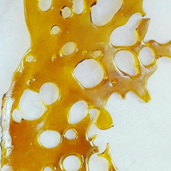 NORTH LAKE APE SHATTER CO2 EXTRACTED