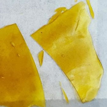 TANGLE X BERRY SHATTER CO2 EXTRACTED